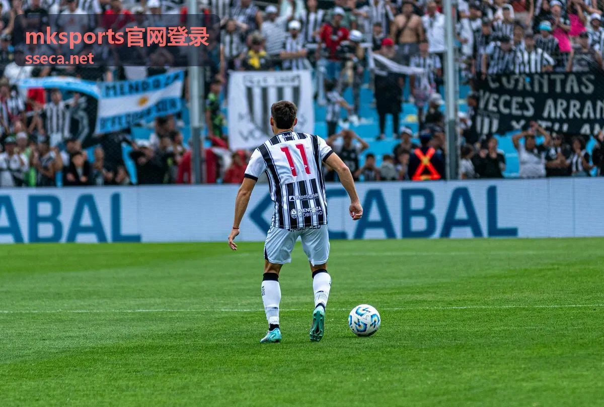 mksports官网登录前的设备与网络检查示意