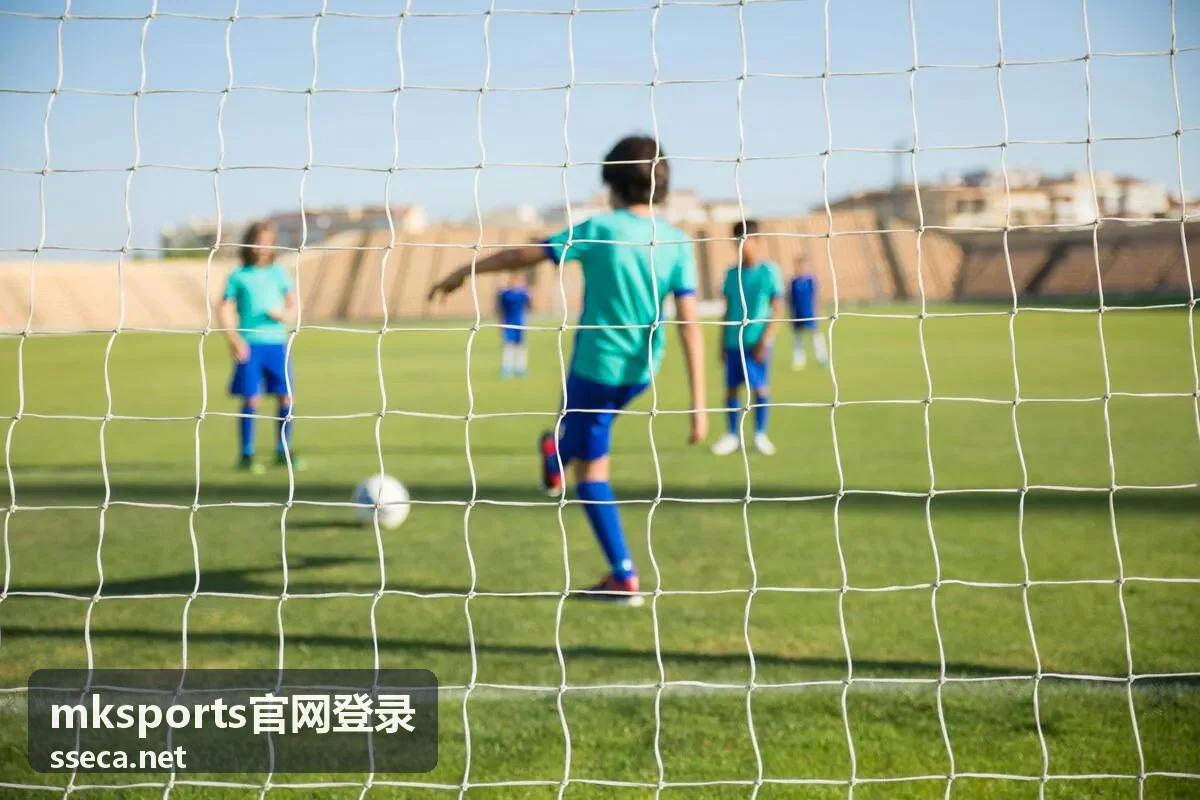 mksports官网登录账号与密码填写界面示意