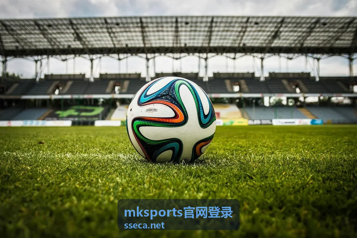 mksports官网登录安全验证环节示意