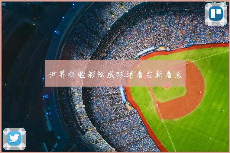 世界杯脸彩绘成球迷看台新看点
