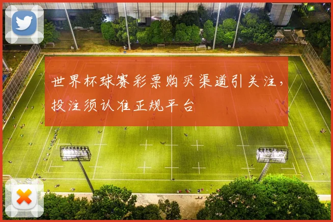 世界杯球赛彩票购买渠道引关注，投注须认准正规平台