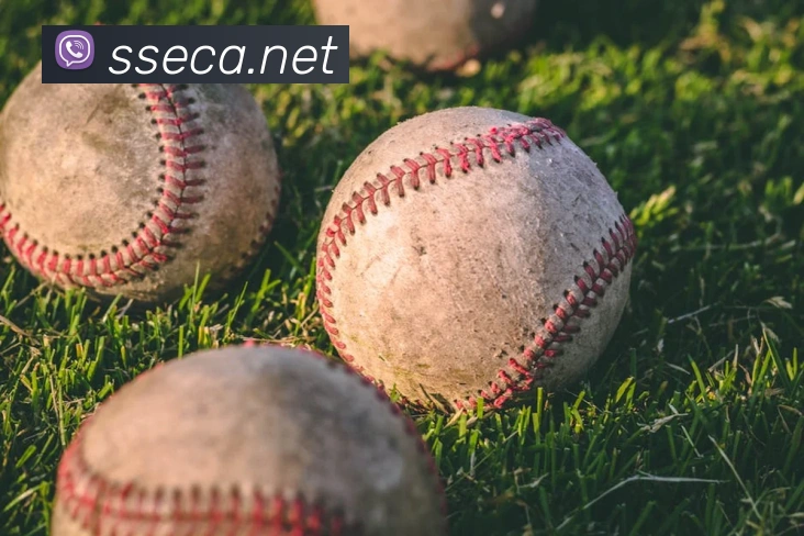 易倍emc官方平台生态图