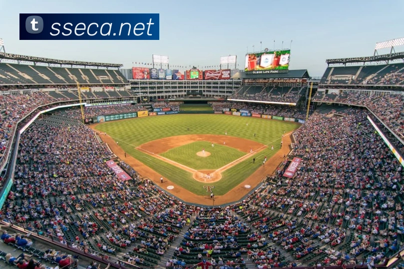 企业概况